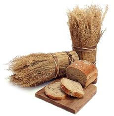 Five Thankful Thanksgiving Posts