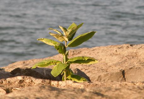 Why True Hope Requires Leaving Behind the Baggage of our Pasts