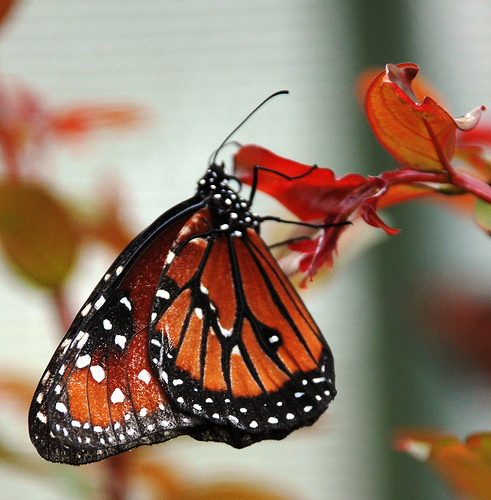 God Works a Transformation in our Hearts