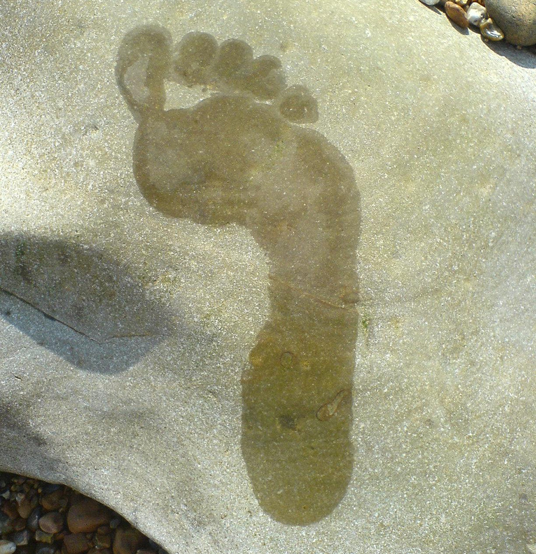 Manny Ohonme Impacts the World by Saying Yes