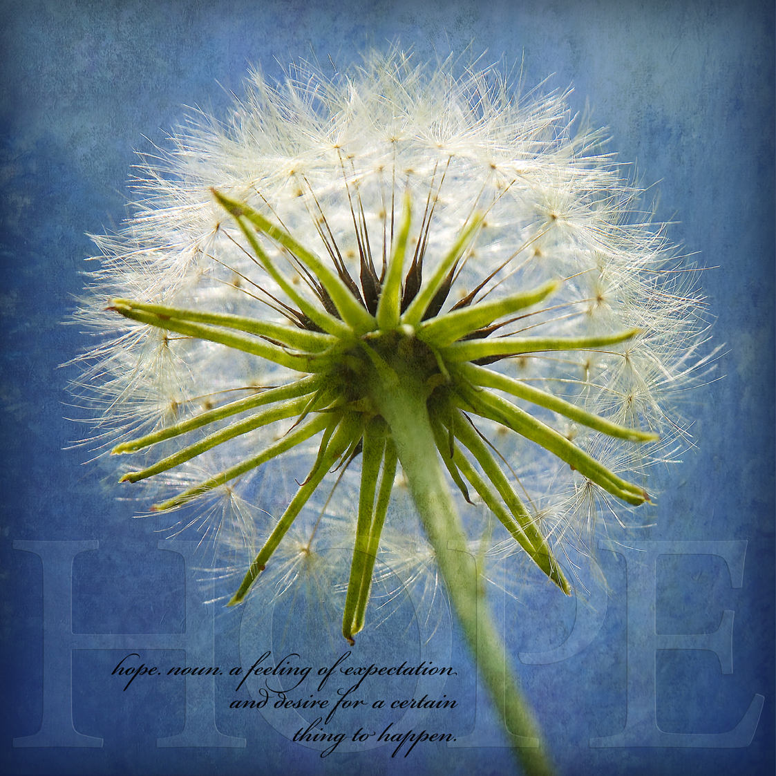 How a New Year Spurred Personal Growth and Pulled me from a Black Hole