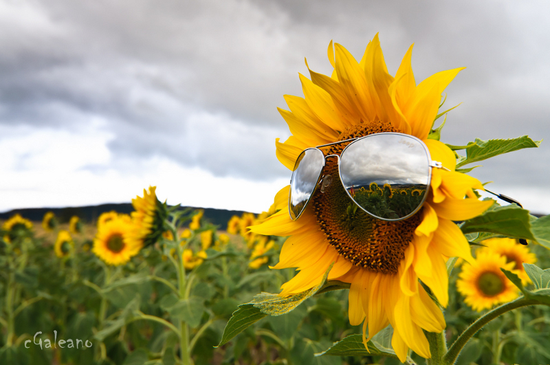 Why you Should Make no Room for Status Quo in Life