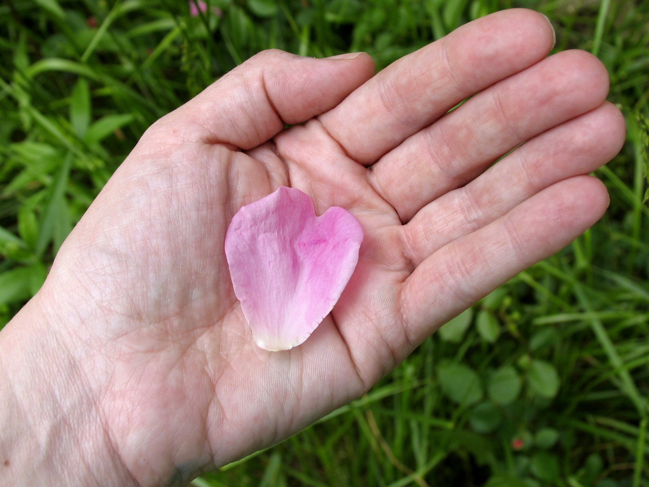 What Mo’ne Davis Teaches Us About Turning the Other Cheek