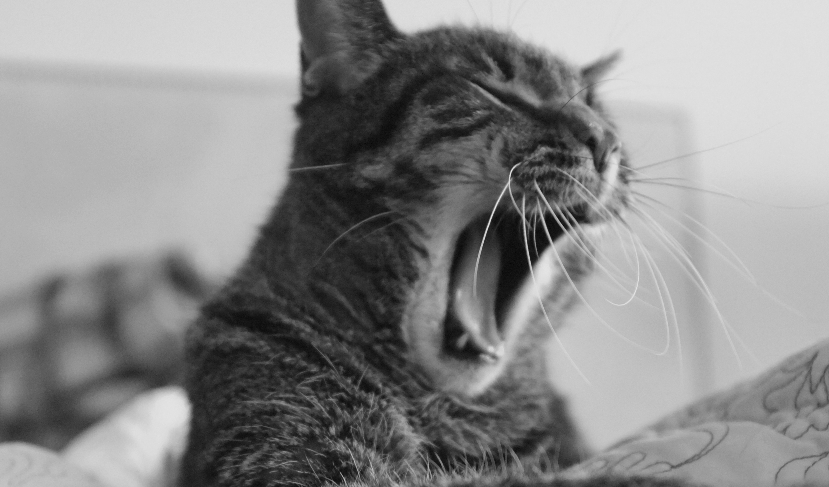 8 Revelations that Came from Devotional Study