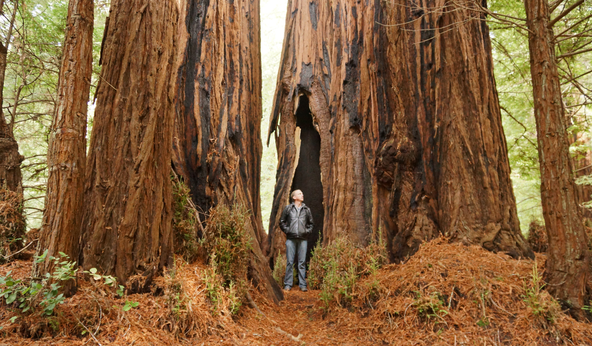 Conquer Your Demons by Growing Where You’re Planted