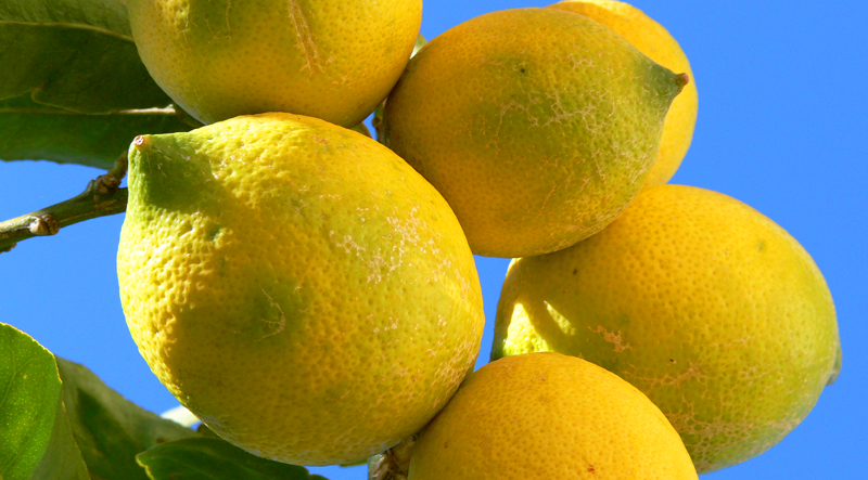 5 Ways God Encourages Taking Risks