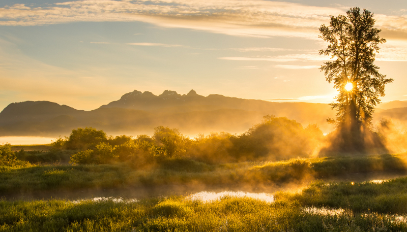 The Holy Spirit Speaks – from Nudges to Fist Bumps