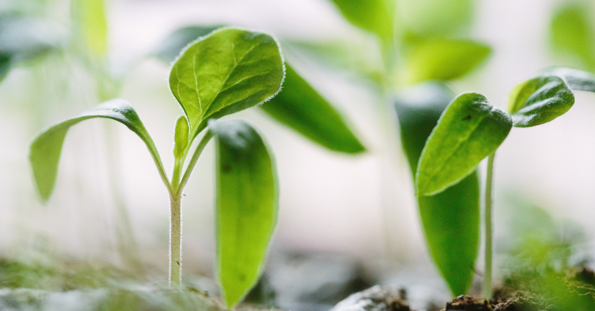 Why Waiting Should Not Be So Challenging