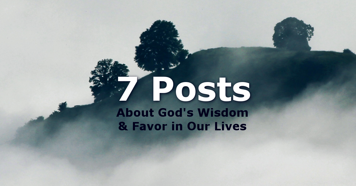 Discernment – God’s Wisdom and Favor – 7 Posts