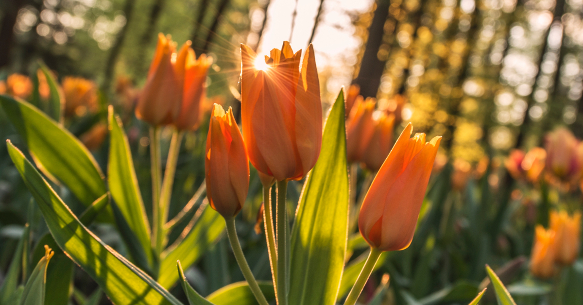 How to Know if You’re Pleasing God Through Your Actions