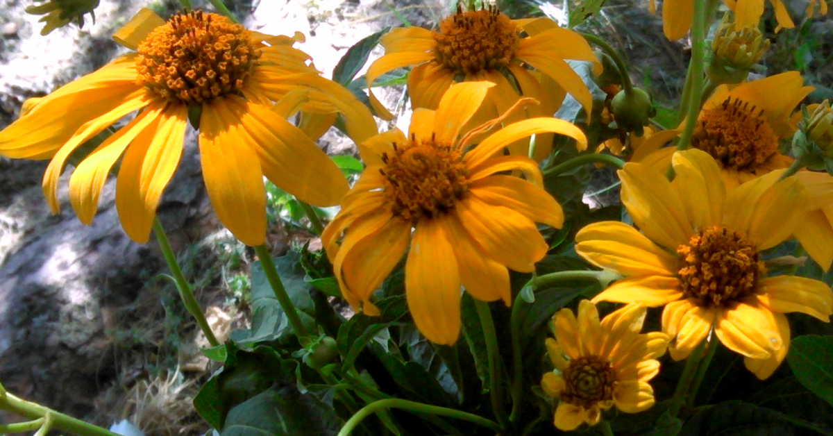 When it’s Hard to Get Past Your Past