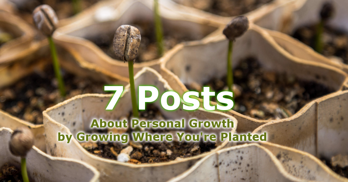 7 Posts for Personal Growth from Planting Small Seeds