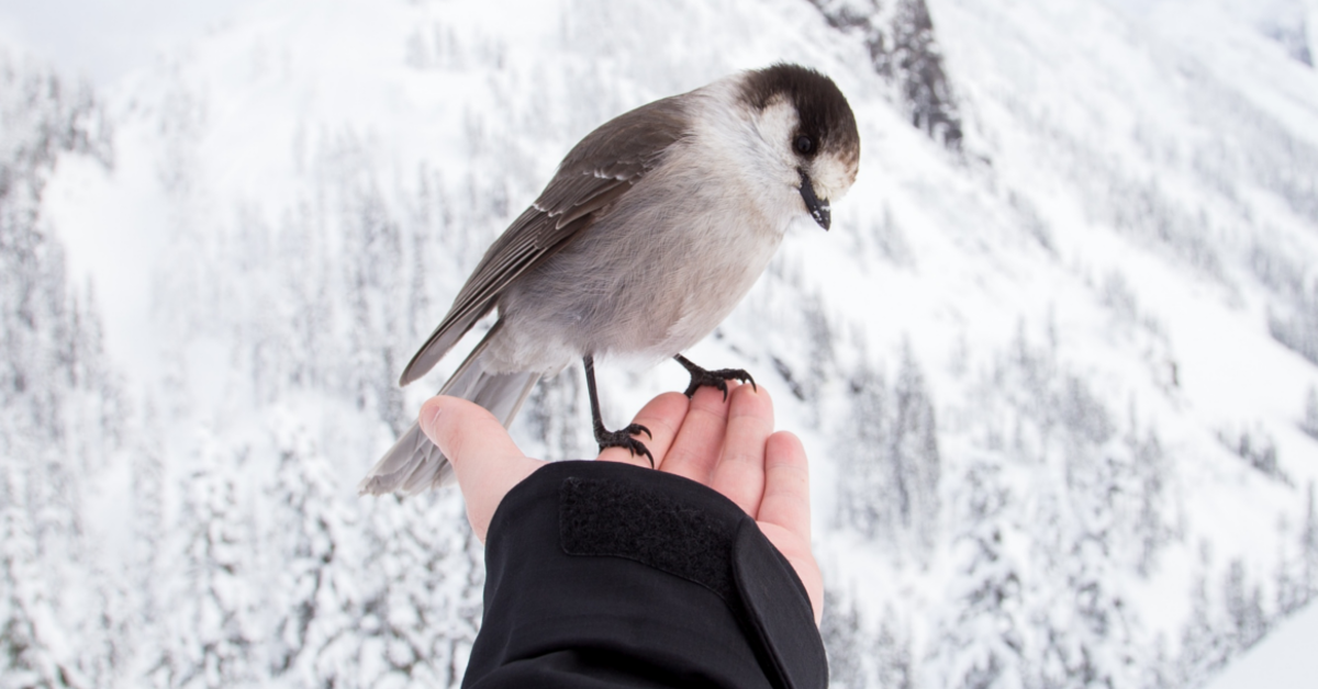 Here’s Why it’s Important to Stop When You or Someone Else is Stuck