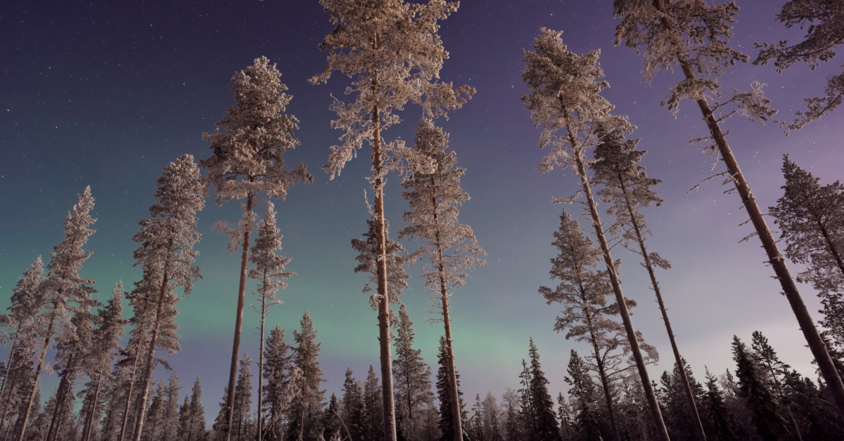 The Top Posts of 2016 at 1Glories – Validates the Year of Listening Up