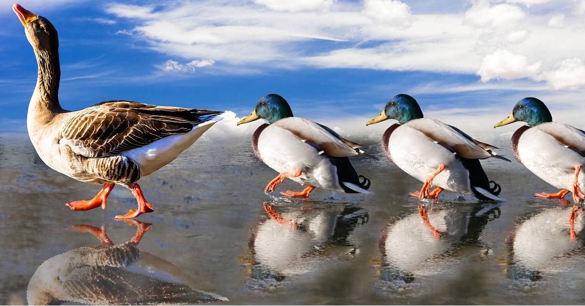 How Mirrors Can Be Powerful Leadership Tools