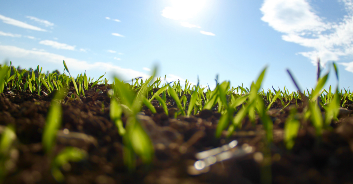 God Salvages a Silver Lining from All Your Adversities