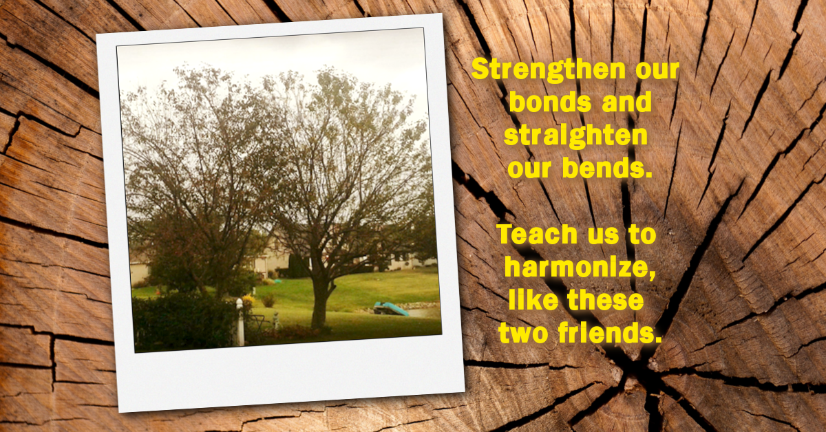 POEM: Life Seasons Past… and Yet Ahead