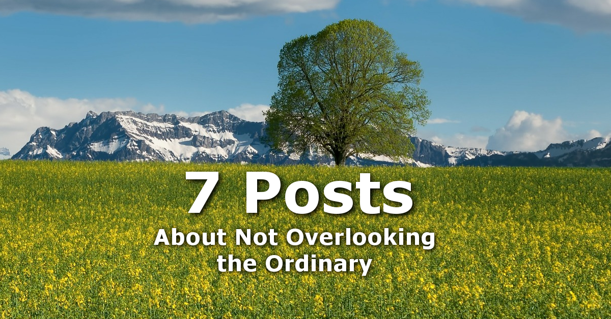 God Uses Ordinary Every Day – 7 Posts Showing the Ways