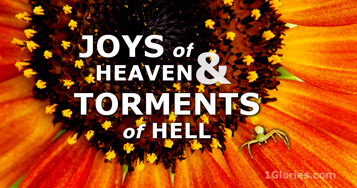 Hell on Earth and the Webs in Which We Exist